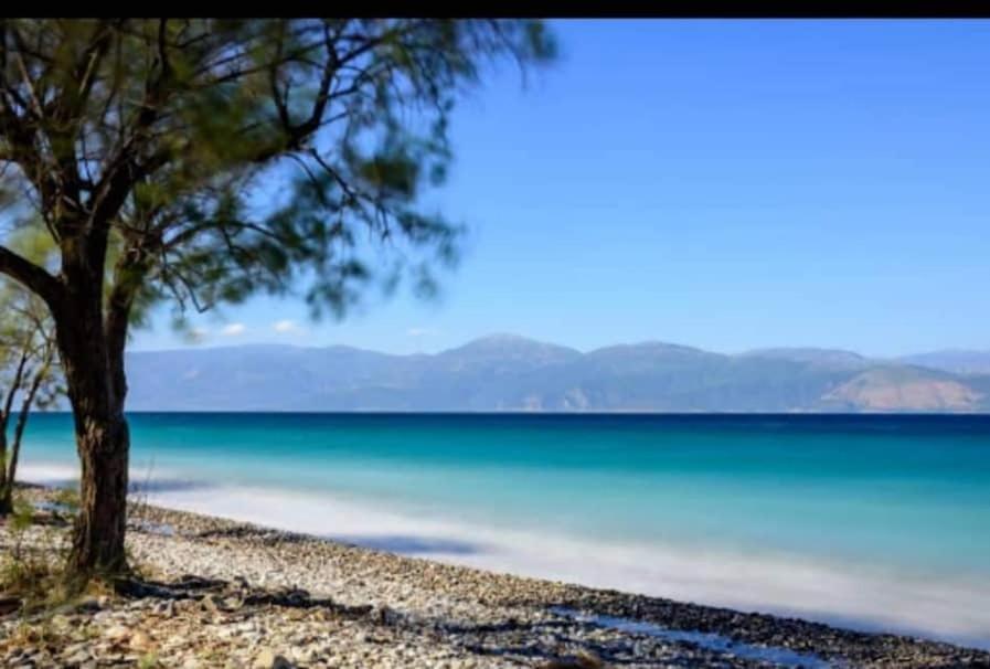 F.K Room 2 Aigio Dış mekan fotoğraf